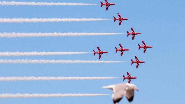 ‘Photobombing’ seagull ‘flies in formation’ with Red Arrows