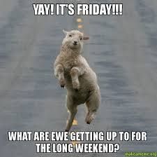 Woop wooop!! Finally a long weekend is upon us!...