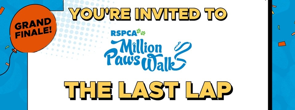 RSPCA Million Paws Walk - The Last Lap