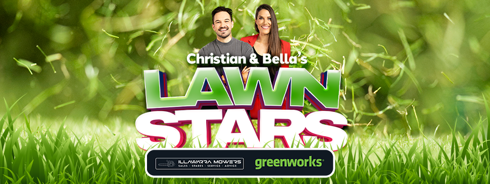 Christian and Bella’s Lawn Stars