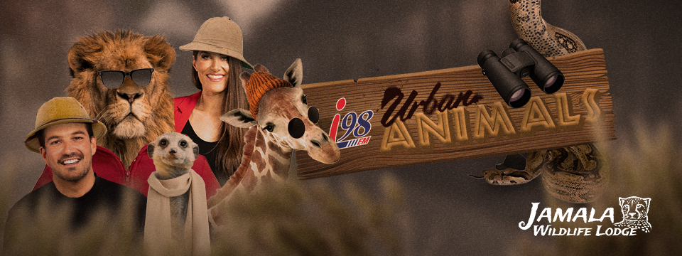 i98’s Urban Animals