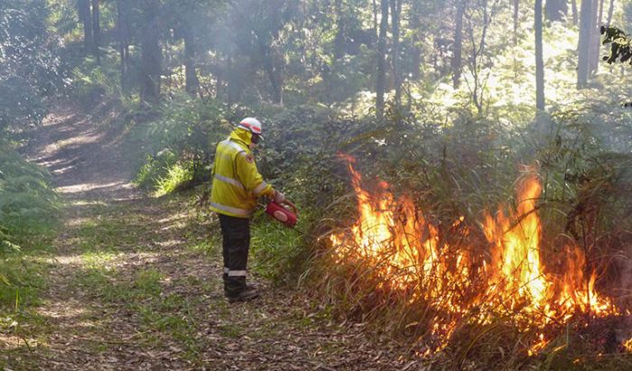 Illawarra firefighters in ‘catch up mode’ ahead of bushfire danger period