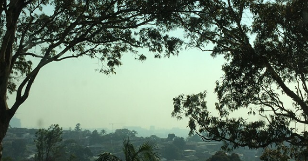 More bushfire smoke cloaking the Illawarra today